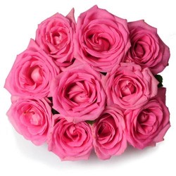 10 Pink Rose Bunch