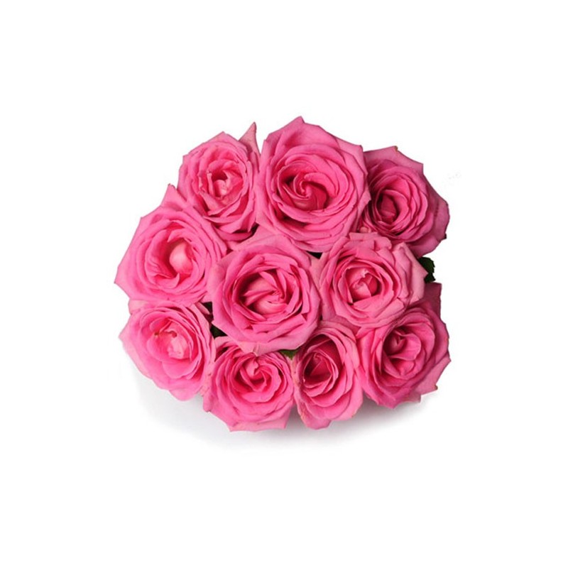 10 Pink Rose Bunch