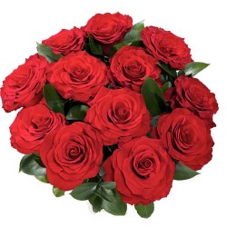 12 Red Roses Bunch