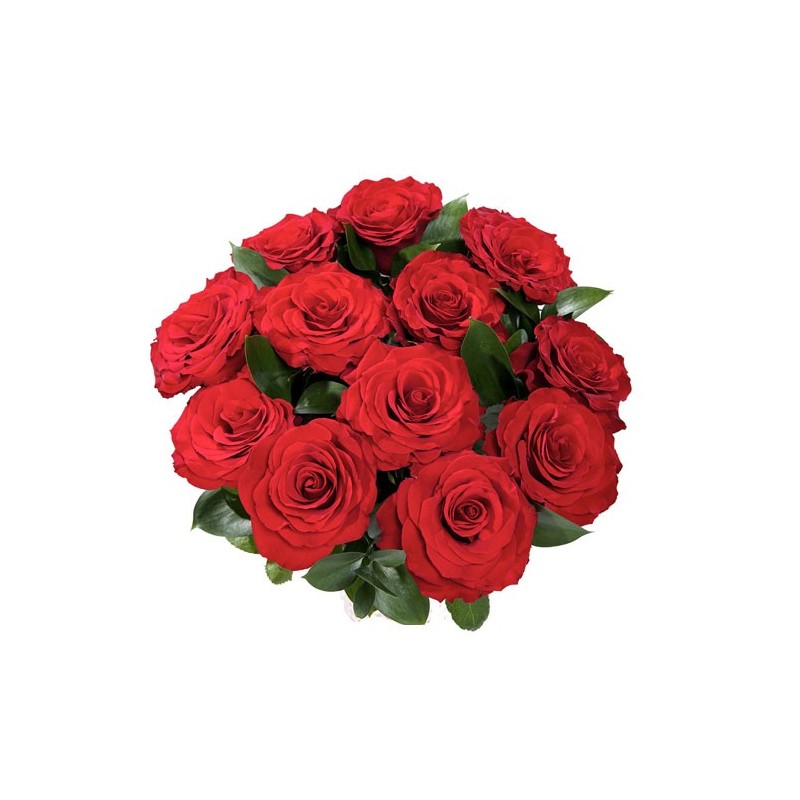 12 Red Roses Bunch