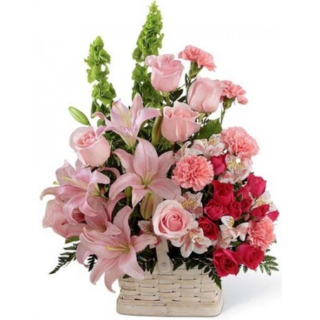 Freshness of Pink Roses For Valentine