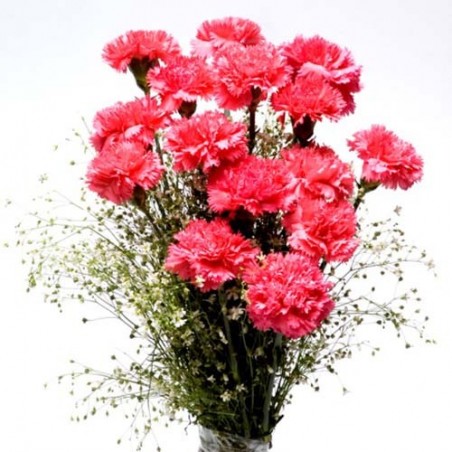 Tower of Love carnations