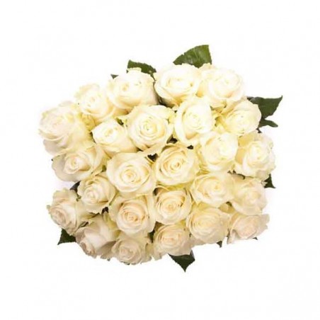 24 white Roses Bouquet