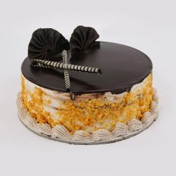 Choco Scotch Cake - 1kg (The Cake World)