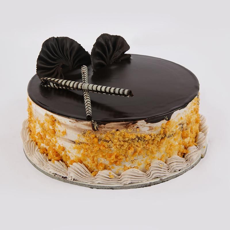 Choco Scotch Cake - 1kg (The Cake World)