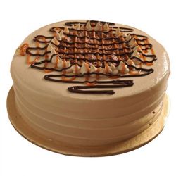 Hazelnut Chocolate  Cake 1 kg