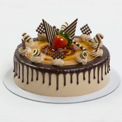 Mocha Choco Magic Cake 1 kg (Cake Walk)