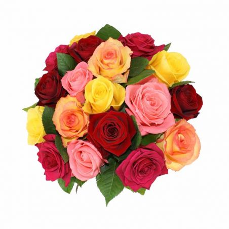 24 Mixed Rose Bunch