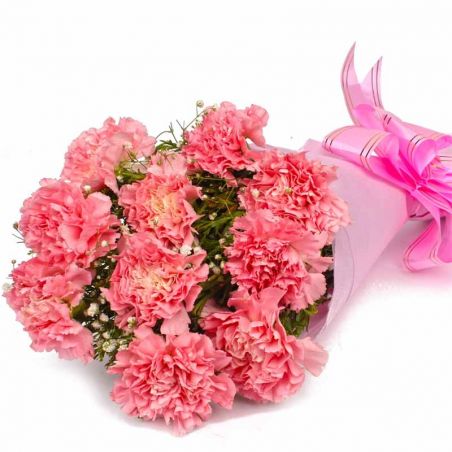 10 Pink Carnation Bunch