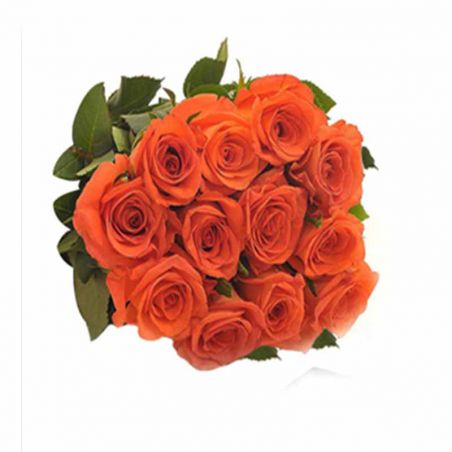 12 Orange Rose Bunch