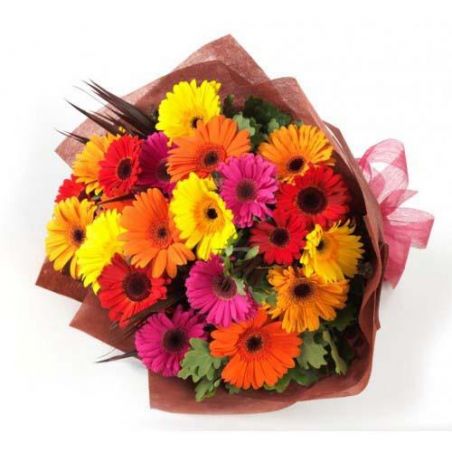 24 Mixed Gerberas Bunch