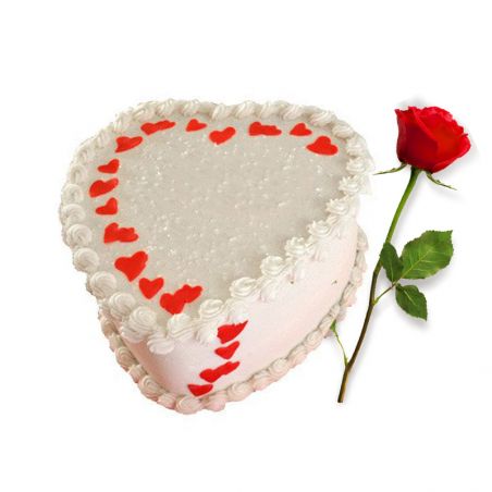 Heart Shape White Forest Cake and Single Red Rose
