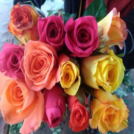 Bright and Loving Multi Roses Bunch