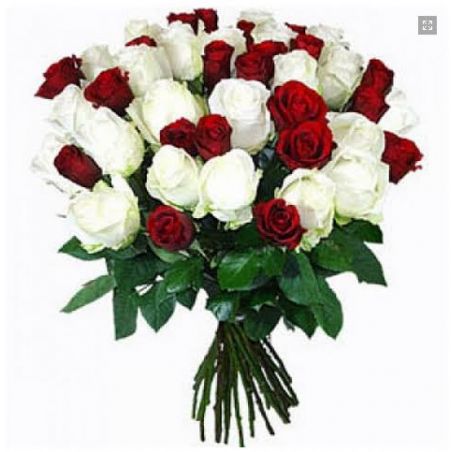 Red and White Roses in Heart Shape