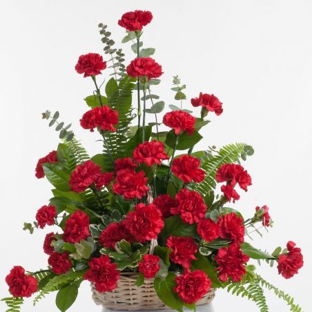 20 Red Carnations Basket