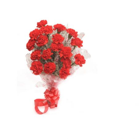 12 Red Carnations