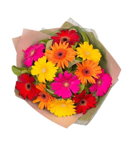 Colourful Gerberas