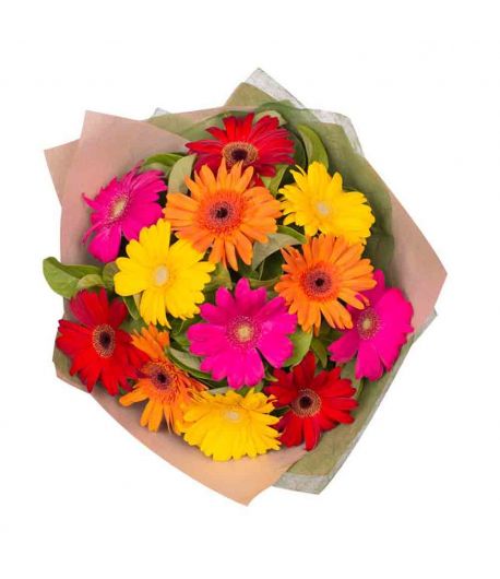 Gorgeous Gerberas