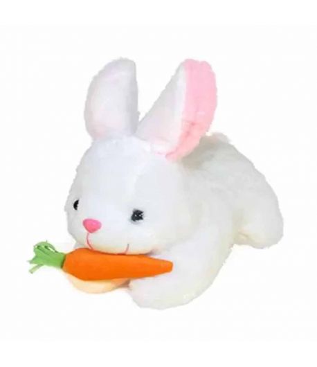 Rabbit with Carrot Soft Toy