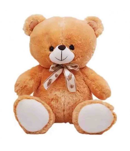 Enjoyful Teddy