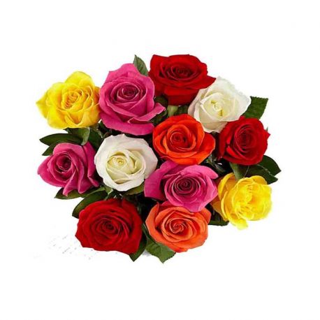 12 Mixed Rose Bunch