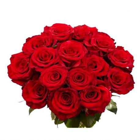 15 Red Roses Bunch