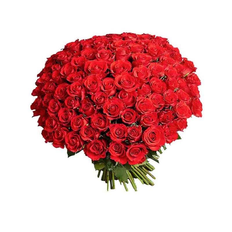 100 Red Roses Bunch | Send 100 Red Roses to India| Delivery of Flower ...