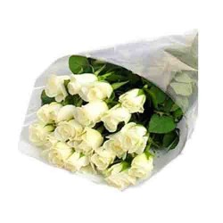 20 White Roses bunch