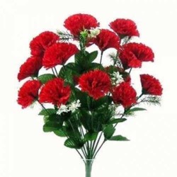 12 Red Carnations