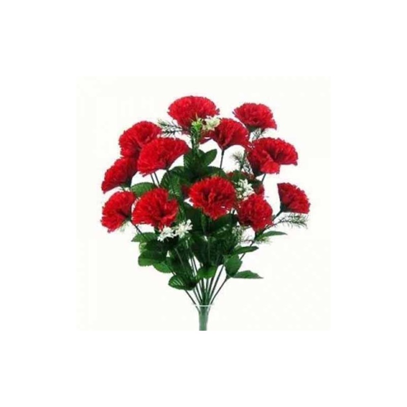 12 Red Carnations