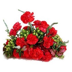 10 Red Carnations Bunch