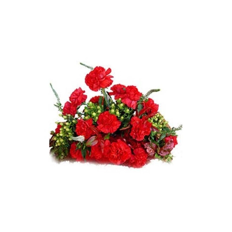 10 Red Carnations Bunch