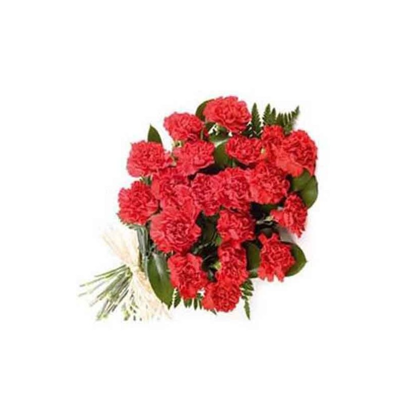 24 Red Carnations Bunch