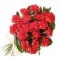 24 Red Carnations Bunch