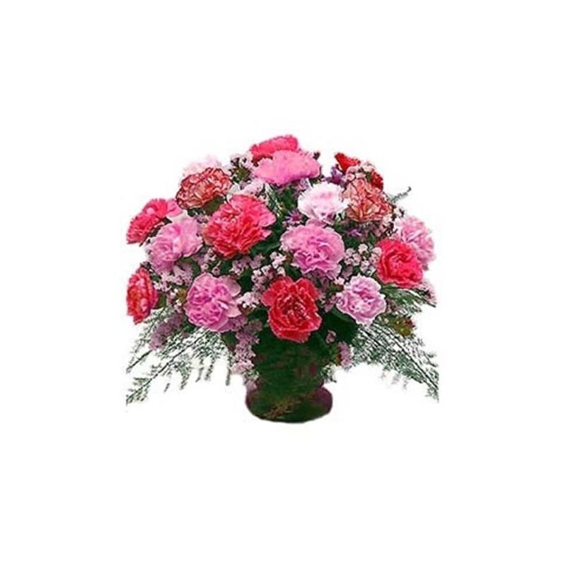 Carnations Arrangement