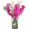 Exclusive Orchids