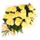 18 Yellow Carnations