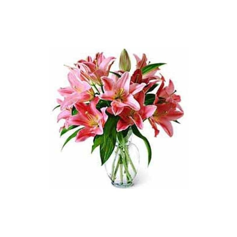 Oriental Lilies