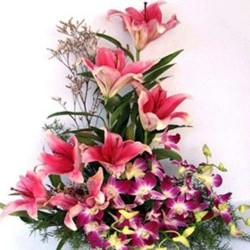 Lilies & Orchids