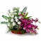 Dancing Flowes