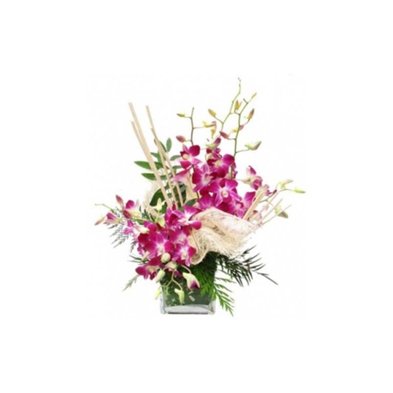 Orchid Vase Orchid Vase