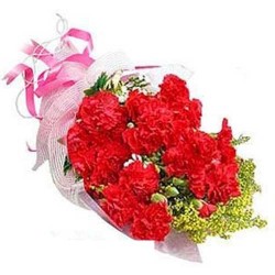 15 Red Carnations Bunch