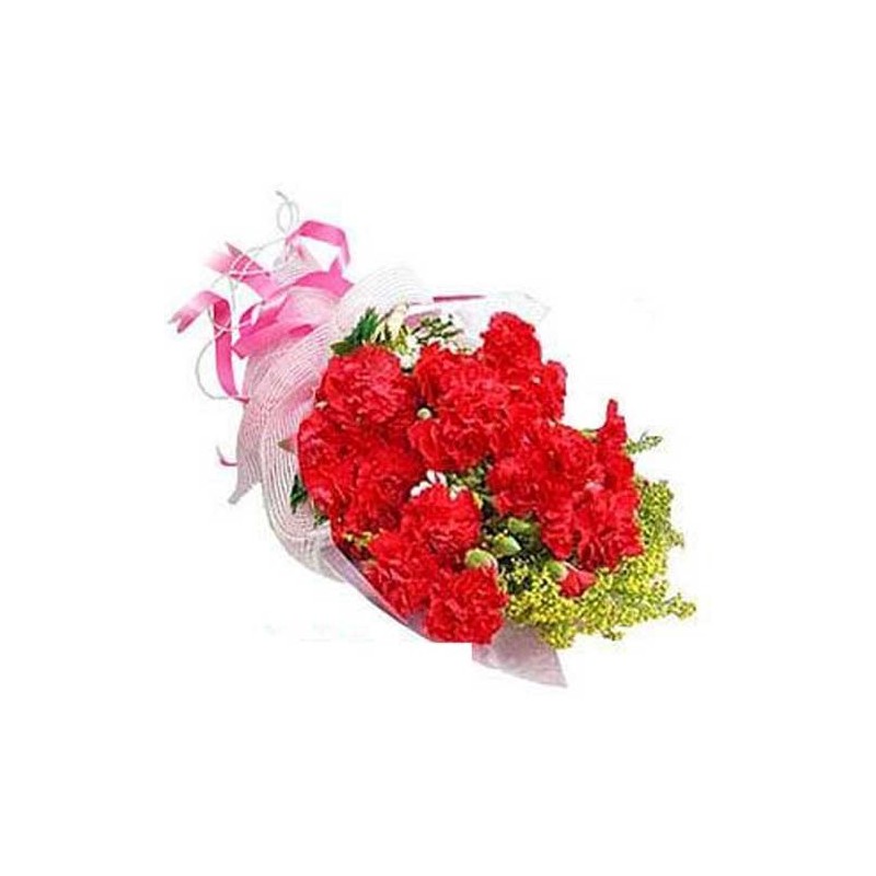 15 Red Carnations Bunch