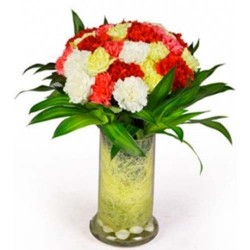 30 Mixed Carnation Vase