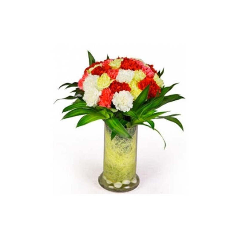 30 Mixed Carnation Vase