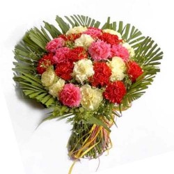 20 Mixed Carnations Bunch