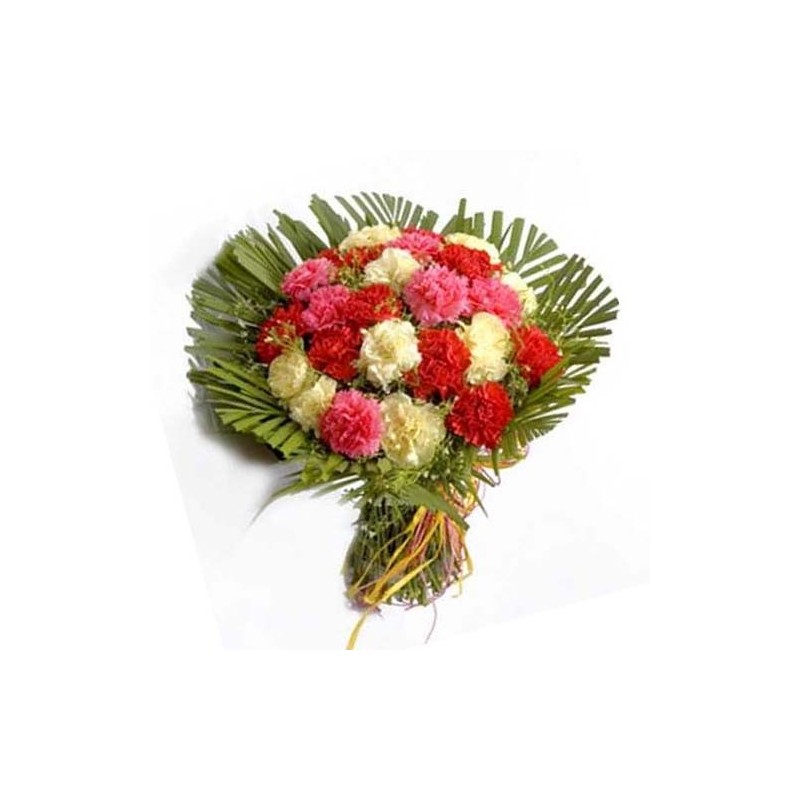 20 Mixed Carnations Bunch