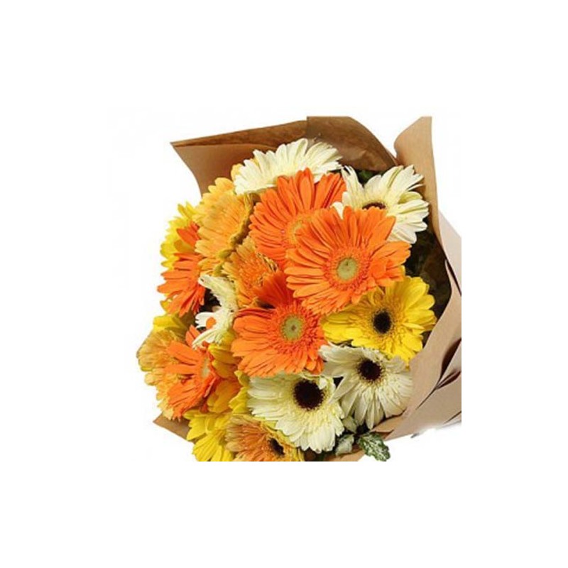 15 Mixed Gerberas