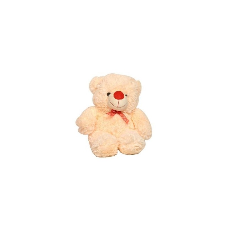 Adorable Soft Teddy