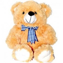 Smart Teddy